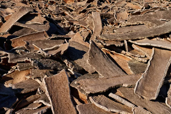 Wood bark production at industrial factory. —  Fotos de Stock