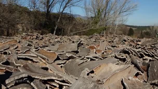Stacked wood bark tree production for processing at industrial factory — Vídeo de Stock