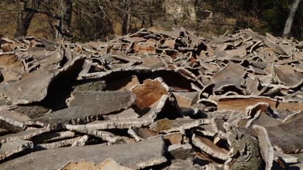 Stacked wood bark tree production for processing at industrial factory — Stockvideo