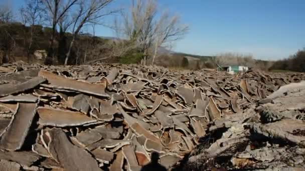 Stacked wood bark tree production for processing at industrial factory — Video Stock