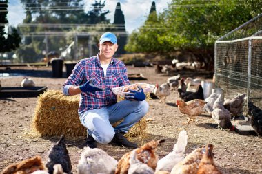 Çiftçi, kümeste tavuk besliyor.