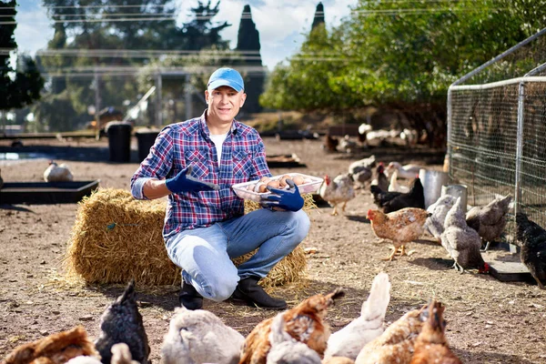 Farmer feeding chikens in a hen house — Stock Photo, Image