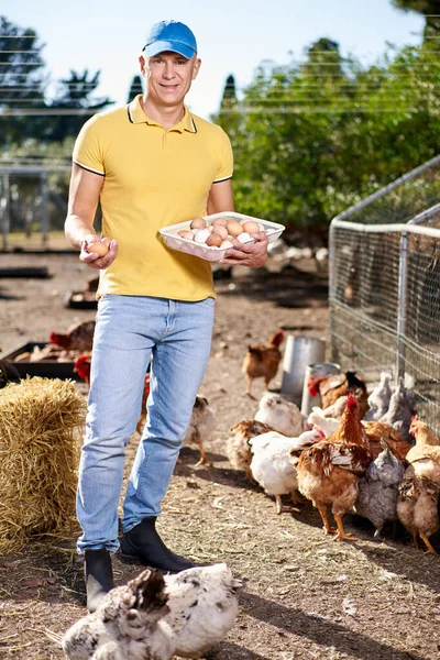 Homem agricultor à procura de ovos. — Fotografia de Stock