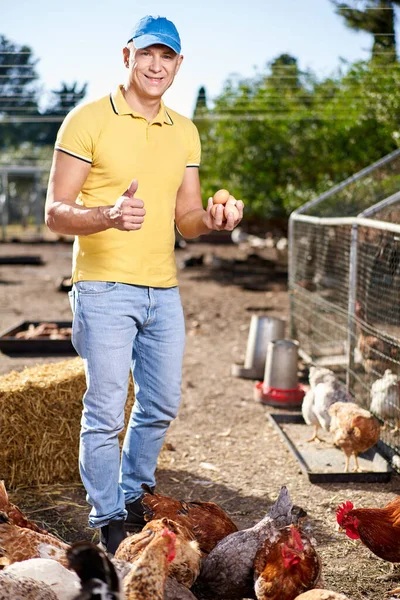 Man farmer looking for eggs. — Stock Photo, Image