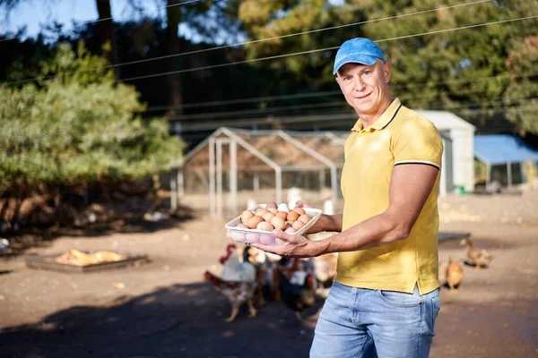 Erkek çiftçi yumurta arıyor.. — Stok fotoğraf