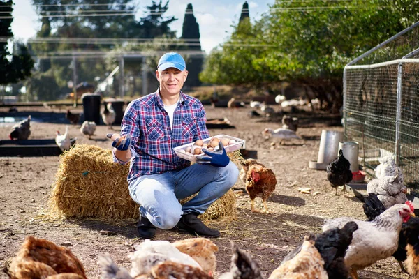 Büszke fiatal férfi, tárolás egy kosár tele tojásokat a csirkék háta mögött. — Stock Fotó