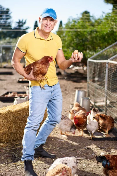 Büszke fiatal férfi, tárolás egy kosár tele tojásokat a csirkék háta mögött. — Stock Fotó