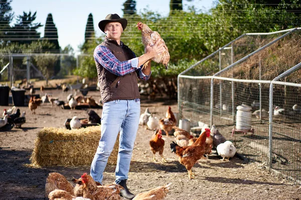 Campesino sosteniendo pollo marrón en las manos en gallinero — Foto de Stock