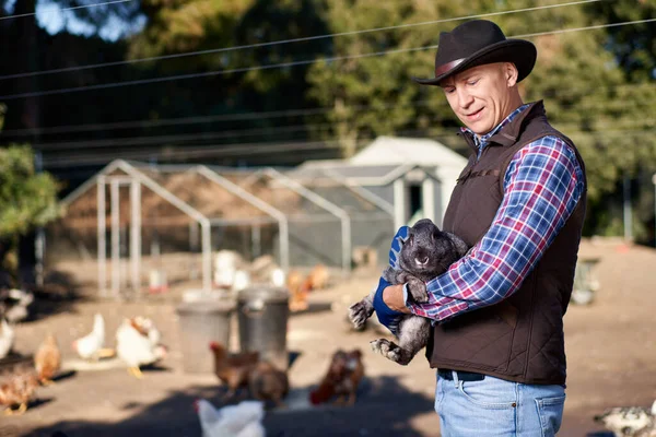 Conejo en el brazo del hombre con cuidado y amor tiernamente. Agricultor sostiene conejito en granja. — Foto de Stock