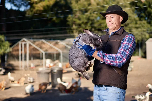 Man with rabbit. Farmer holds bunny in farm. — Stock Photo, Image