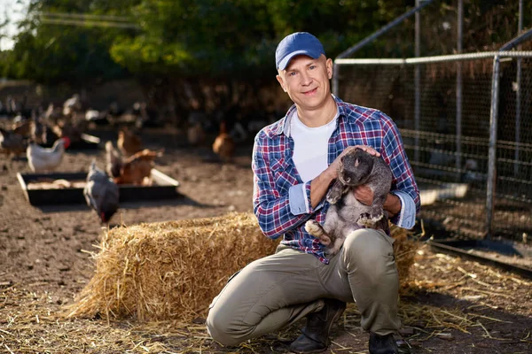 Coelho no braço dos homens com cuidado e amor ternamente. Agricultor detém coelho na fazenda. — Fotografia de Stock