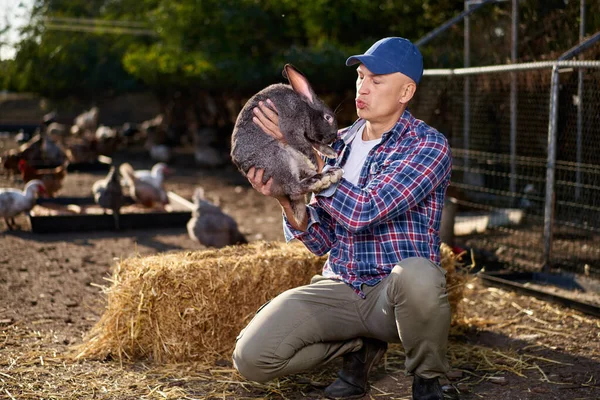 Coelho no braço dos homens com cuidado e amor ternamente. Agricultor detém coelho na fazenda. — Fotografia de Stock