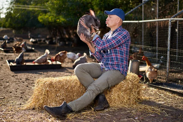 Hase im Arm mit Sorgfalt und Liebe zärtlich. Landwirt hält Kaninchen in Bauernhof. — Stockfoto