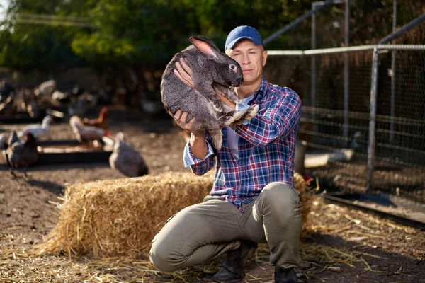 Králík v mužské náruči s péčí a láskou něžně. Farmář drží králíčka na farmě. — Stock fotografie