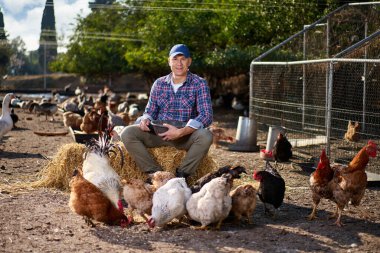 Çiftçi, kümeste tavuk besliyor.
