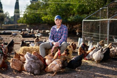 Çiftçi, kümeste tavuk besliyor.