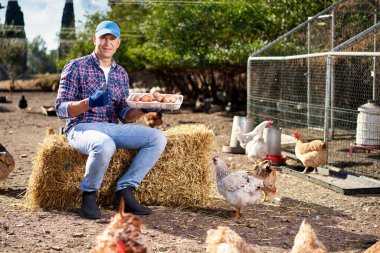 Çiftçi çiftlikte tavuk yumurtası gösteriyor.