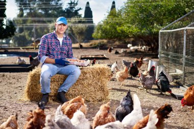 Çiftçi çiftlikte tavuk yumurtası gösteriyor.