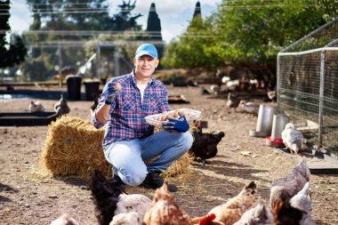 Çiftçi çiftlikte tavuk yumurtası gösteriyor.