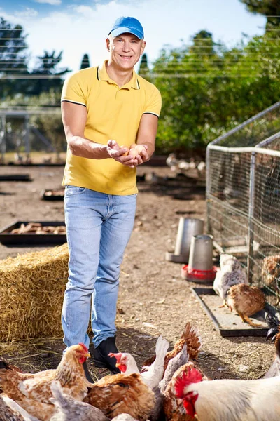 Αρσενικός γεωργός που εκτρέφει αυγά κότας σε οικολογική εκμετάλλευση — Φωτογραφία Αρχείου
