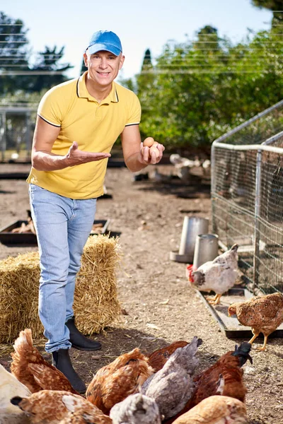 Macho agricultor que cría huevos de gallina en granja ecológica —  Fotos de Stock