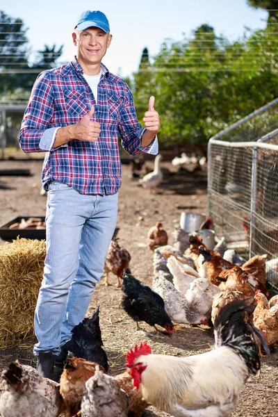 Agricultor masculino na fazenda de galinhas — Fotografia de Stock