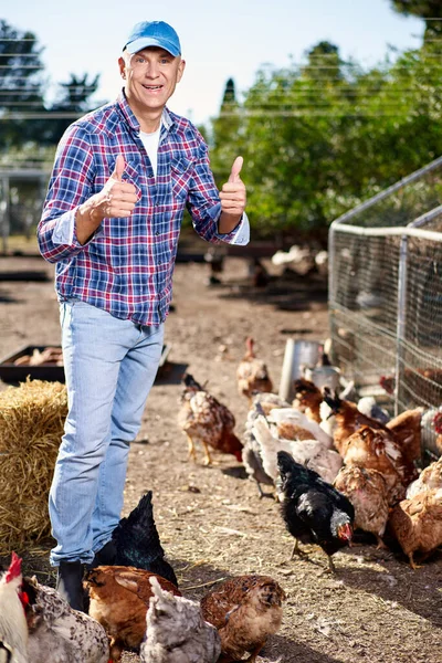 Agricultor masculino na fazenda de galinhas — Fotografia de Stock