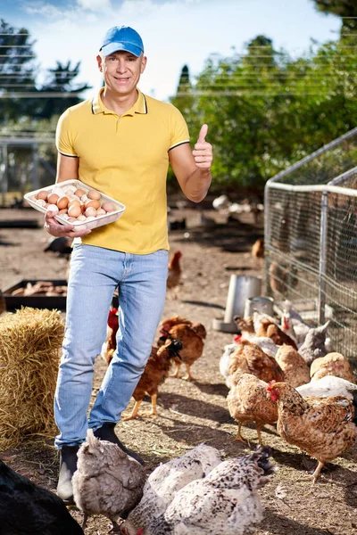 Agricultor masculino na fazenda de galinhas — Fotografia de Stock