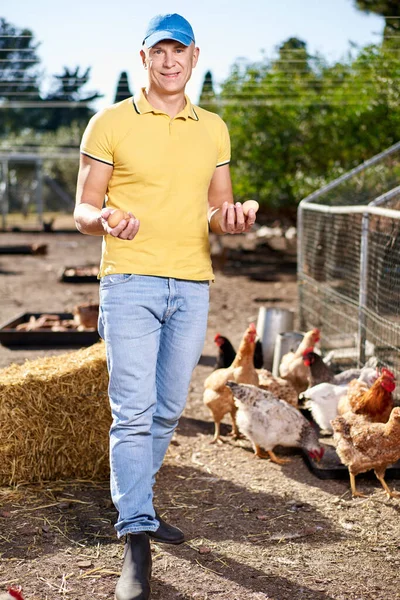 Csirkefarmon dolgozó férfi mezőgazdasági termelő — Stock Fotó