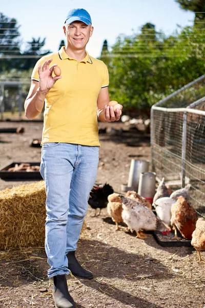 Agricultor masculino na fazenda de galinhas — Fotografia de Stock