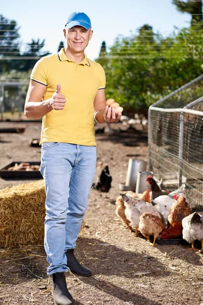Csirkefarmon dolgozó férfi mezőgazdasági termelő — Stock Fotó