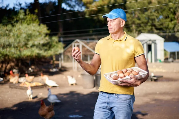 Мужчина фермер на птицеферме — стоковое фото
