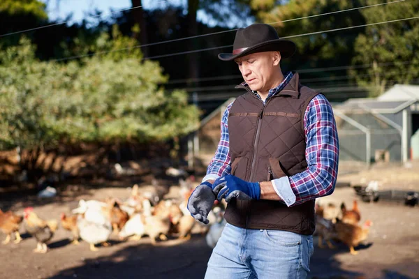 Agricultor masculino na fazenda de galinhas — Fotografia de Stock