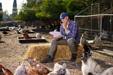 Çiftçi Chiken çiftliğinde kontrat arıyor.