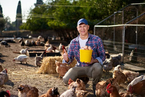 Man holding natural chicken eggs in his hands at the hen farm — Stock Photo, Image