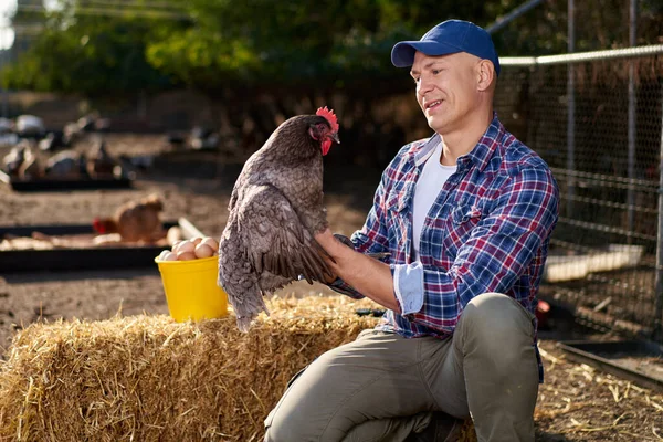 Countryman drží hnědé kuře v rukou v kurníku — Stock fotografie