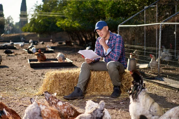 Çiftçi Chiken çiftliğinde kontrat arıyor.