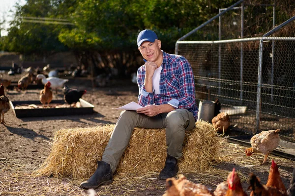 Farmář se dívá na smlouvu v chiken farm — Stock fotografie