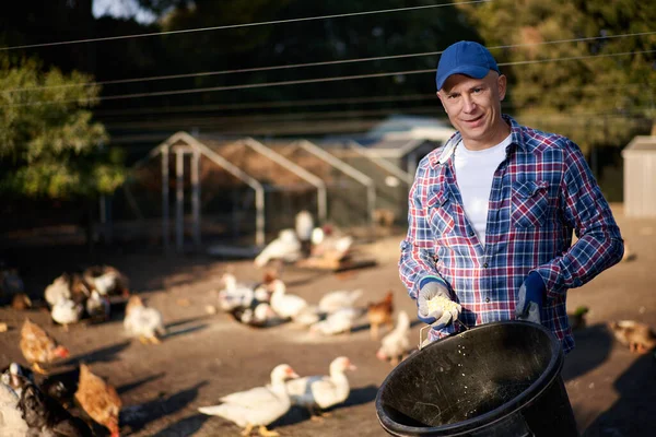 Landwirt füttert Hühner im Hühnerstall — Stockfoto