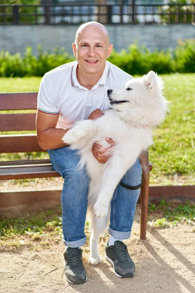 Samoyedo Perro Con Hombre Propietario Parque —  Fotos de Stock