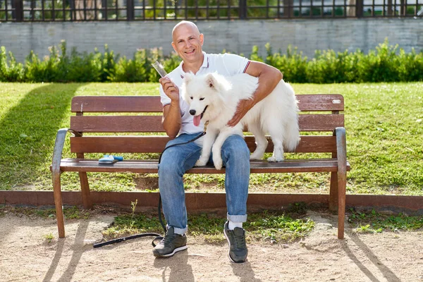 Samoyed Cane Con Suo Uomo Proprietario Parco Giocare Insieme Immagine Stock