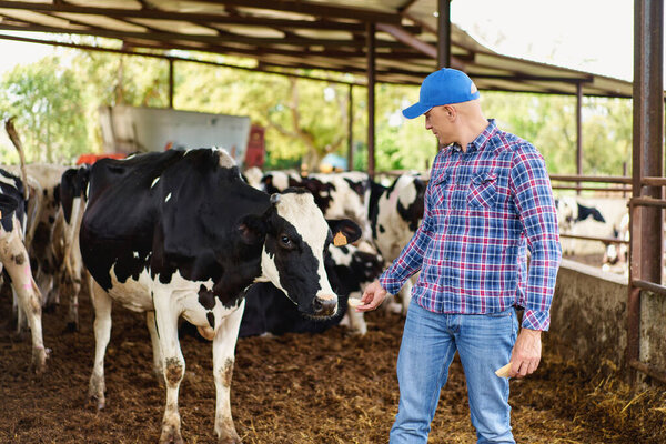 Счастливый мальчишка на ранчо львов
