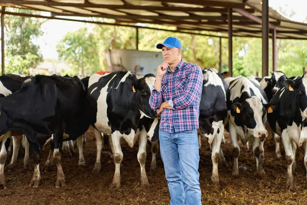 Tarım Endüstrisi Tarım Insanlar Hayvancılık Kavramı Genç Adam Çiftçi Süt — Stok fotoğraf
