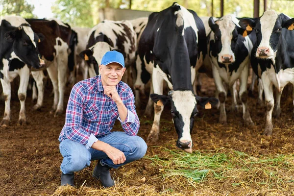 Boldog Cowboy Állatállomány Tanyán — Stock Fotó