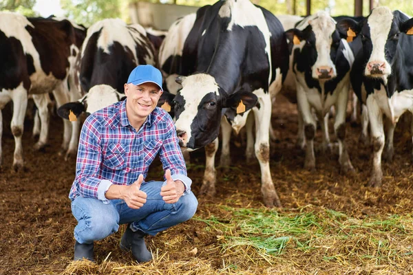 Happy Cowboy Livestock Ranches — Stock Photo, Image