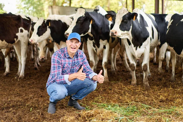 Feliz Vaquero Los Ranchos Ganado — Foto de Stock