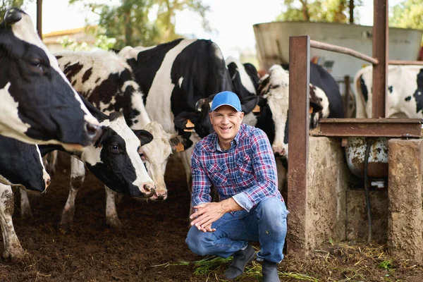 Agricultor Masculino Feliz Fazenda Vacas Torno Rebanho — Fotografia de Stock