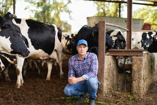Man Cowboy Cow Farm Ranch — Stockfoto