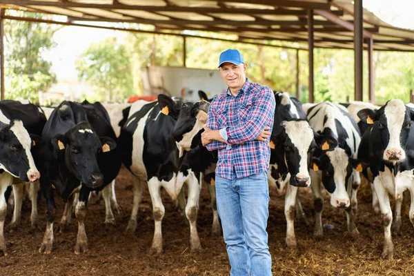 Gelukkig Cowboy Vee Ranches Rechtenvrije Stockfoto's