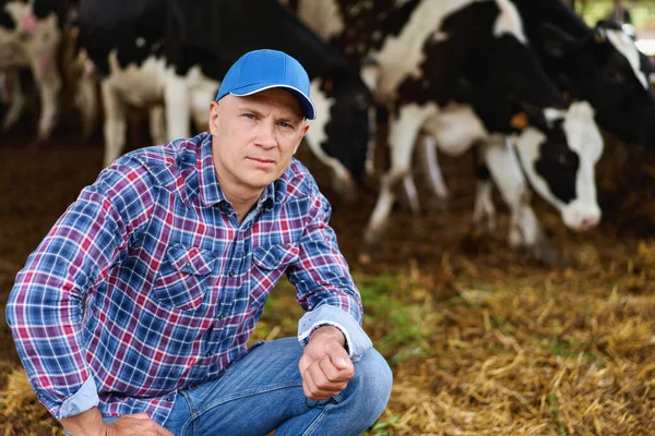 Landbouw Landbouw Mensen Veeteelt Jonge Man Boer Die Koeien Voedt Stockafbeelding